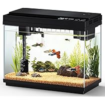 Amazon | AQQA 水槽セット 9L ライト機能 ろ過機能 酸素供給 水温表示